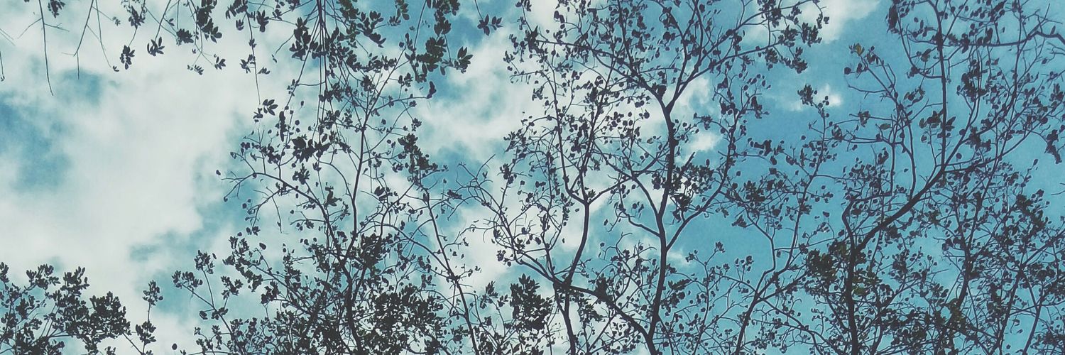 itsergioluis's profile banner image