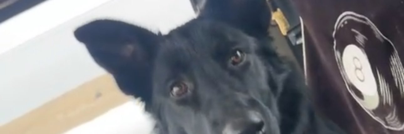 MegBrownski's profile banner image