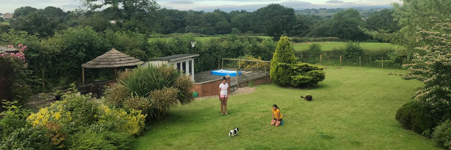 Danielle Hann banner