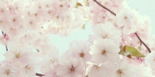 xxLittleLady's profile banner image