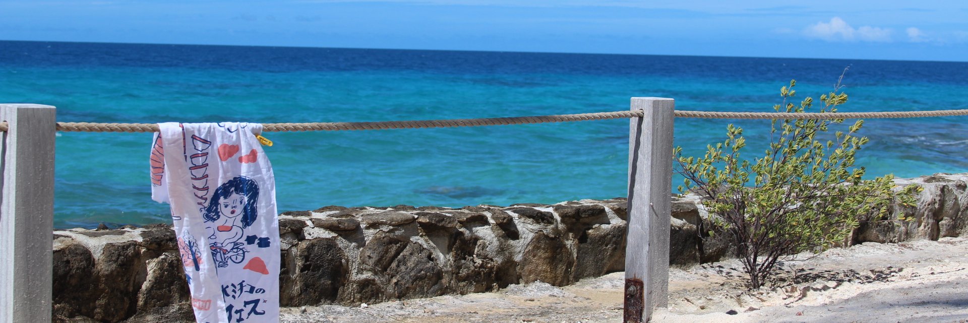 Zacchironi's profile banner image