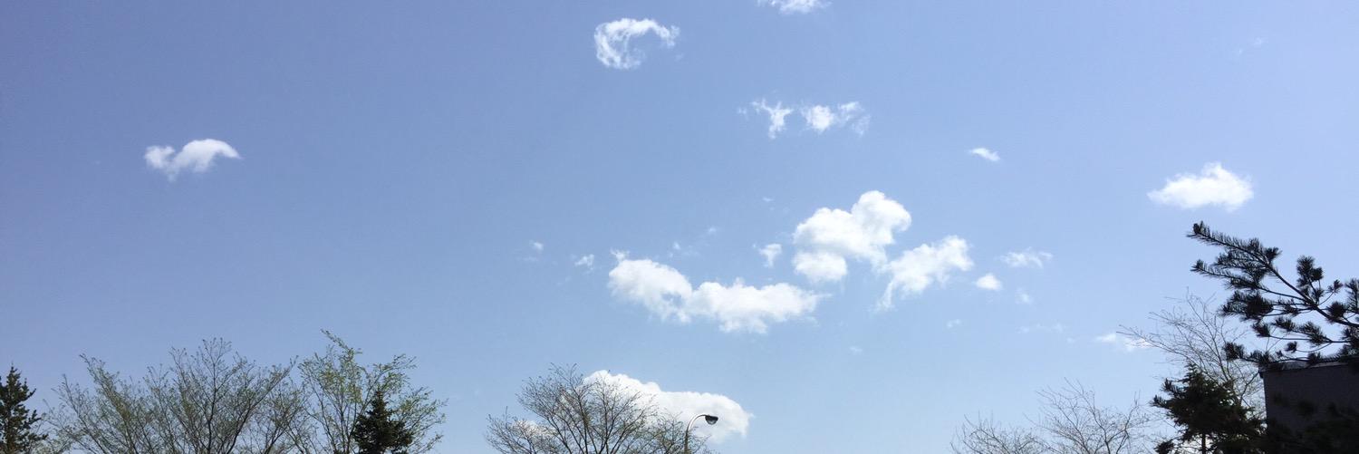 KumomNe's profile banner image