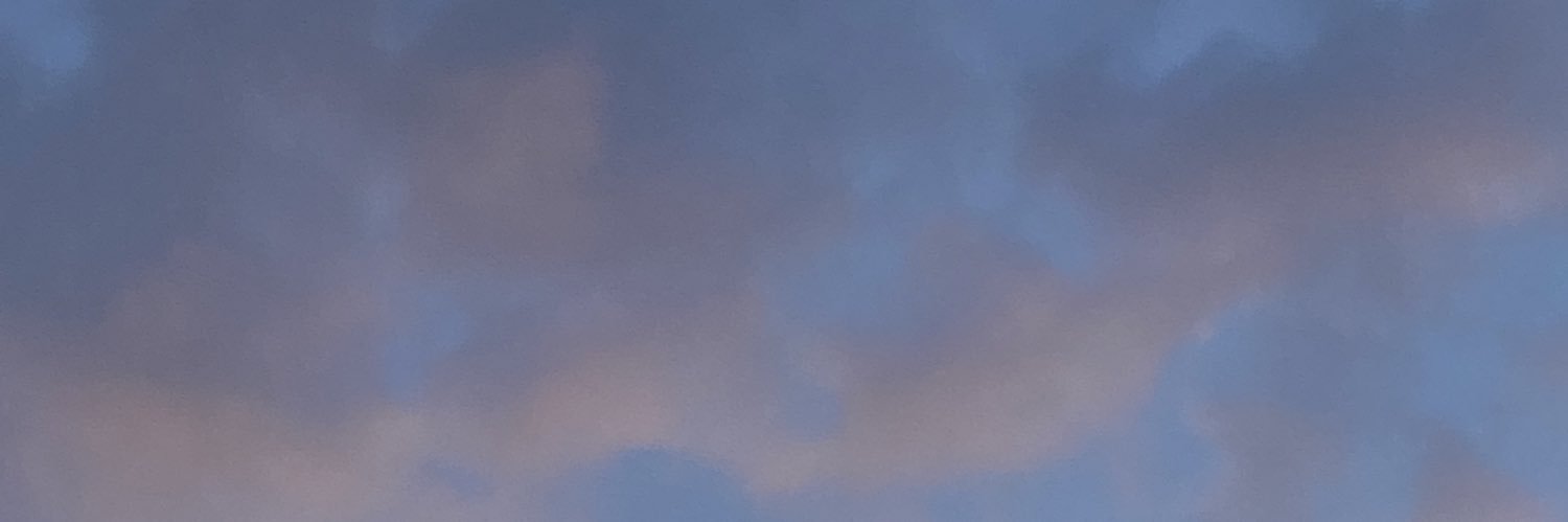 annie__wei_'s profile banner image