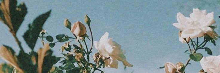 NATHAN TRISKA banner