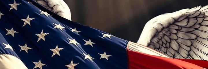 DaraJohson's profile banner image