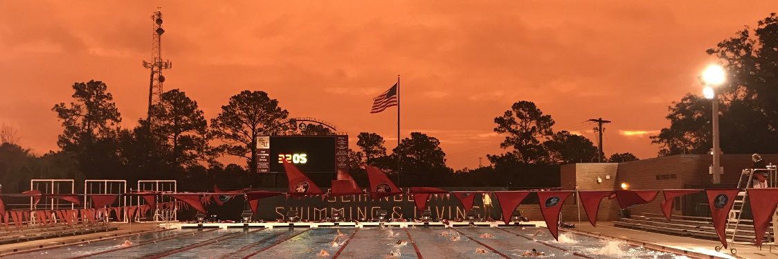 Sh!t Swimmers Say banner