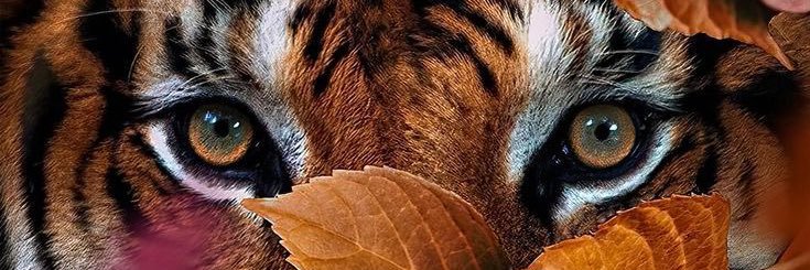 eribridje's profile banner image