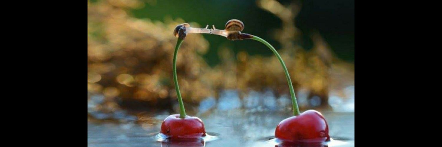 cherryyladyy_'s profile banner image