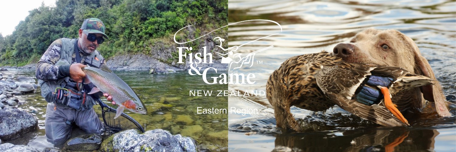 EasternFishGame's profile banner image
