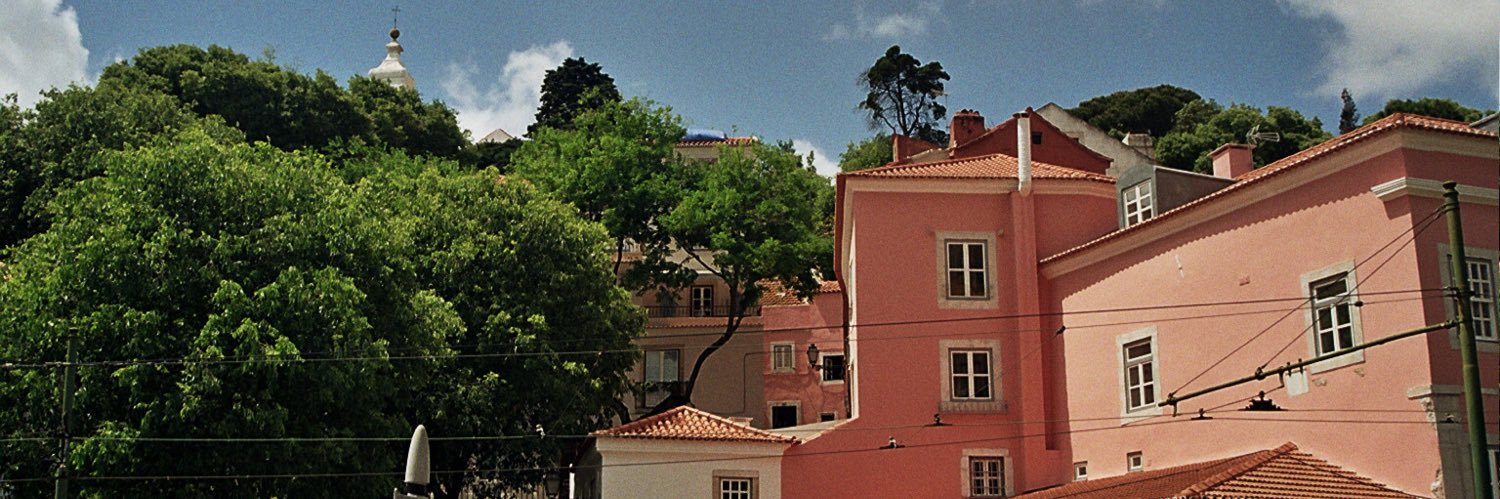 AliaHabib6's profile banner image