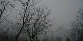 Chesta28's profile banner image
