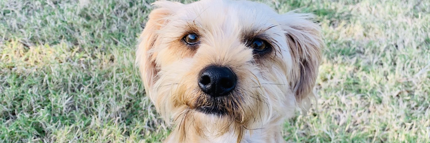 queeentonii's profile banner image