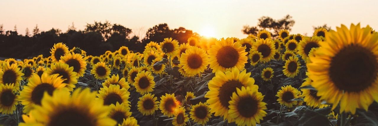 thisisntanav's profile banner image