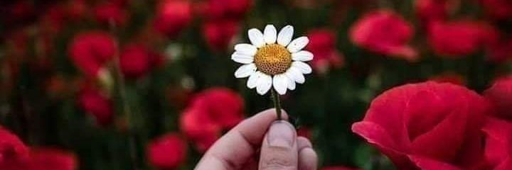 Adiss_gm's profile banner image