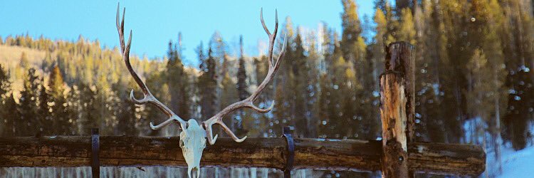 hankdavis88's profile banner image