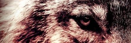 mawandiign's profile banner image