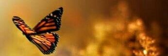 tergali120's profile banner image