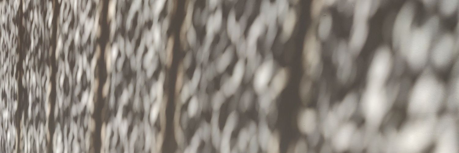 VLaganier's profile banner image