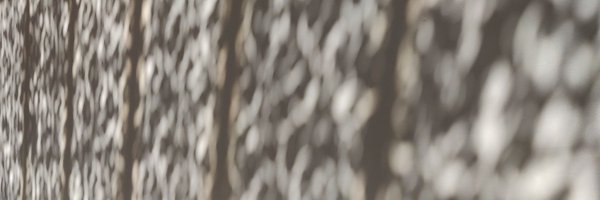 VLaganier Profile Banner