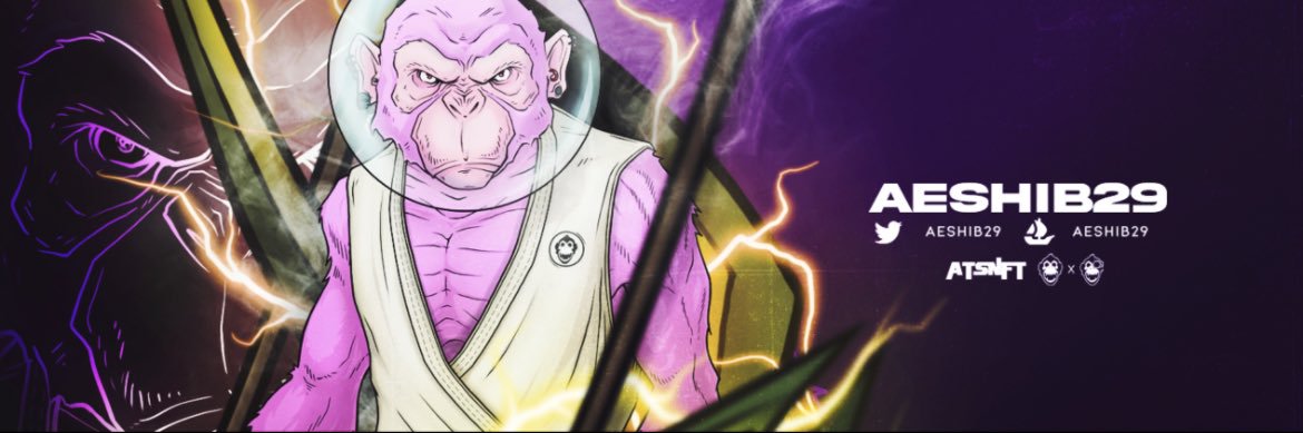 aeSHIB29's profile banner image