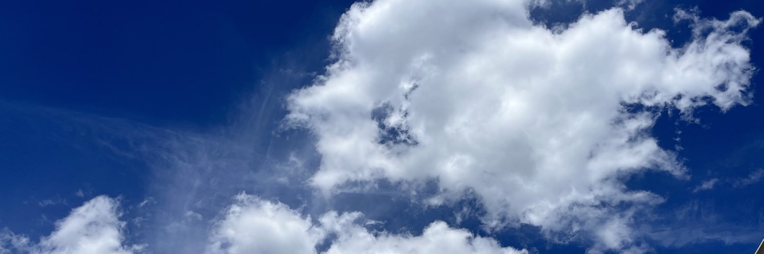 Condeleeza's profile banner image
