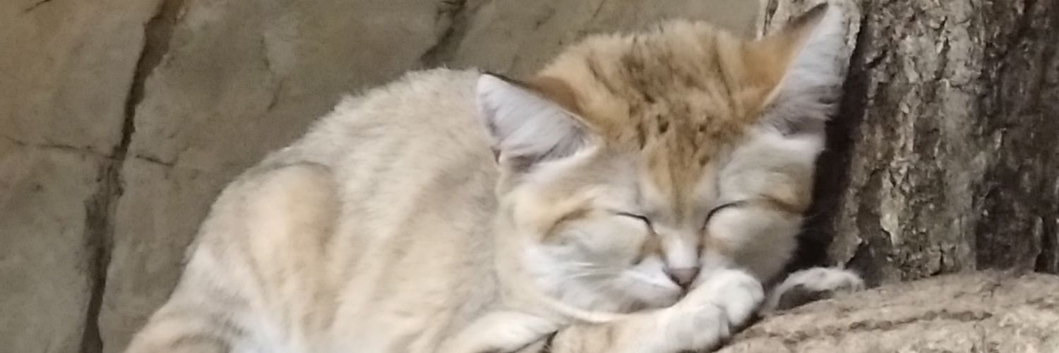 Pretty02Baby's profile banner image