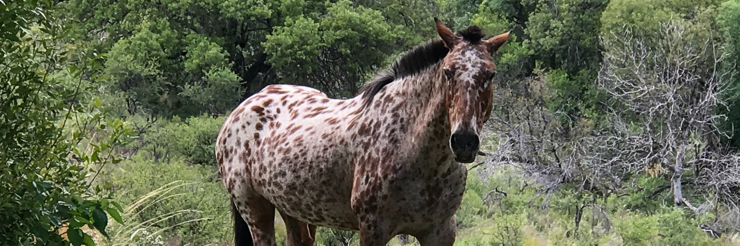 gjgbb's profile banner image