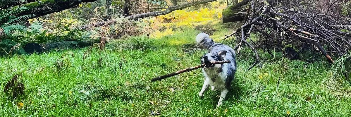 JakePoblocki's profile banner image