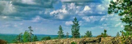 Mikko Salonen banner