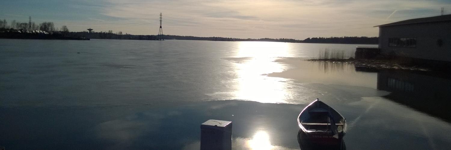 APNieminen's profile banner image