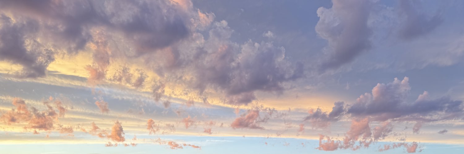 didem__doganay's profile banner image