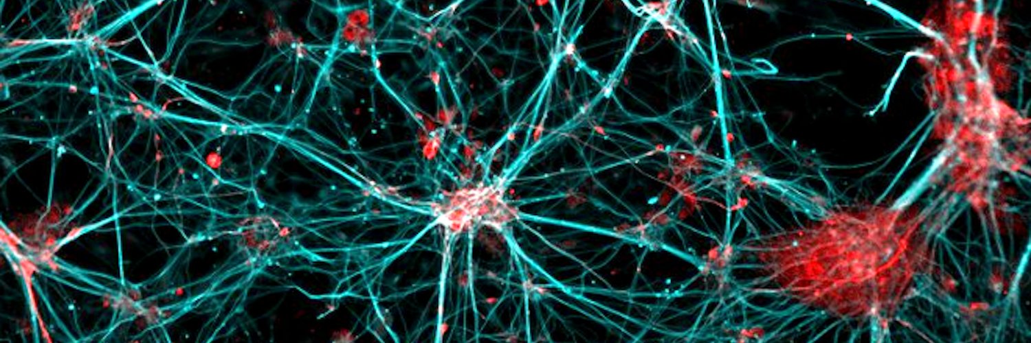 Citlalli Netzahualcoyotzi banner