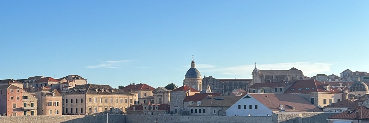 saorsamary's profile banner image