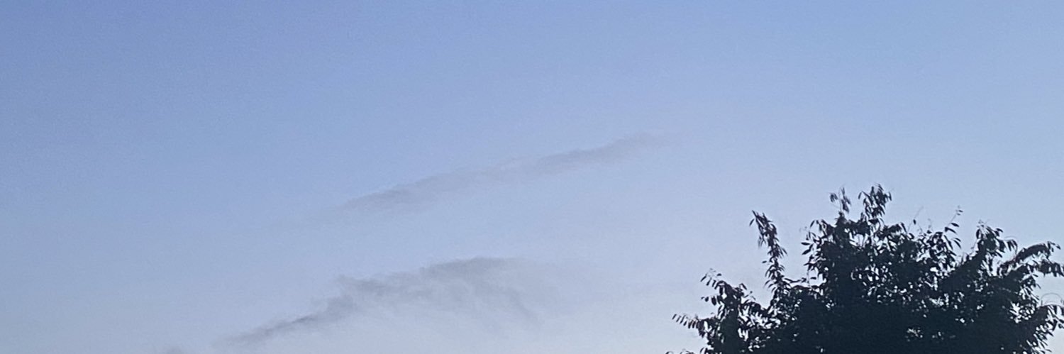 janet kim (possible) banner