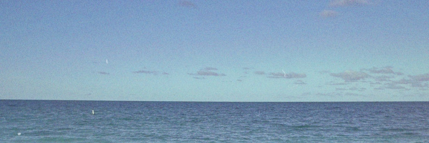 laurelannasher's profile banner image