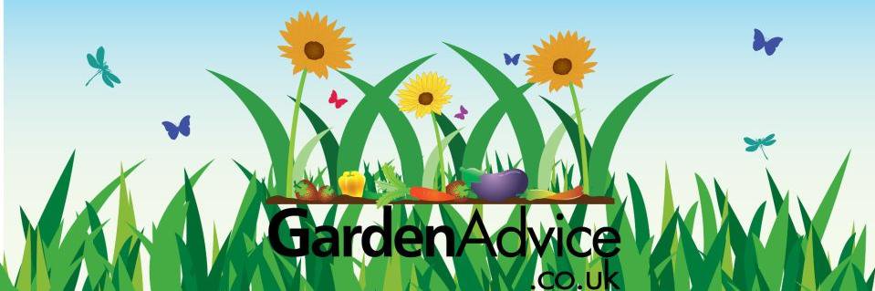 MyGardenTeam's profile banner image