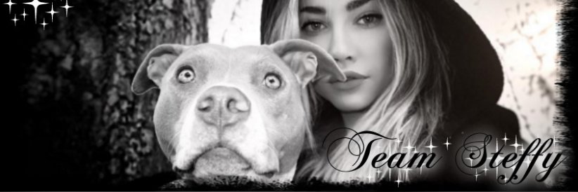 TeamSteffyfb's profile banner image