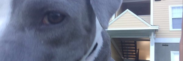 BottomJake Profile Banner