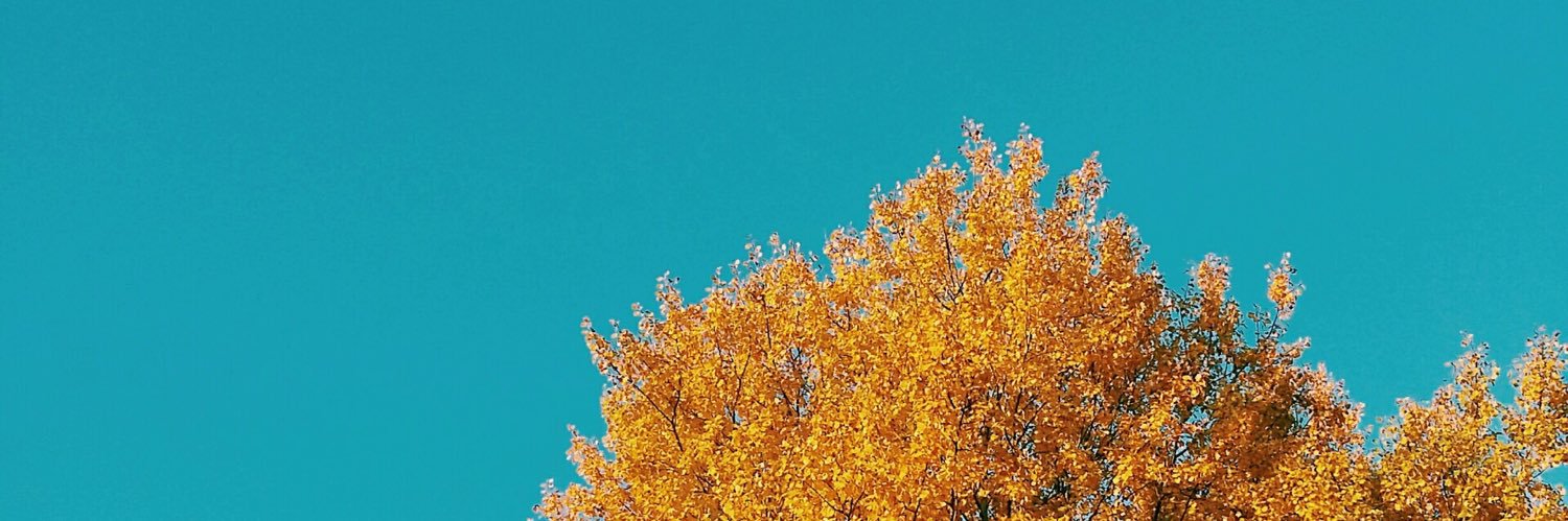 sohoga_'s profile banner image