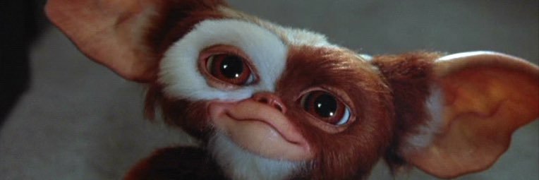 djbobfish's profile banner image