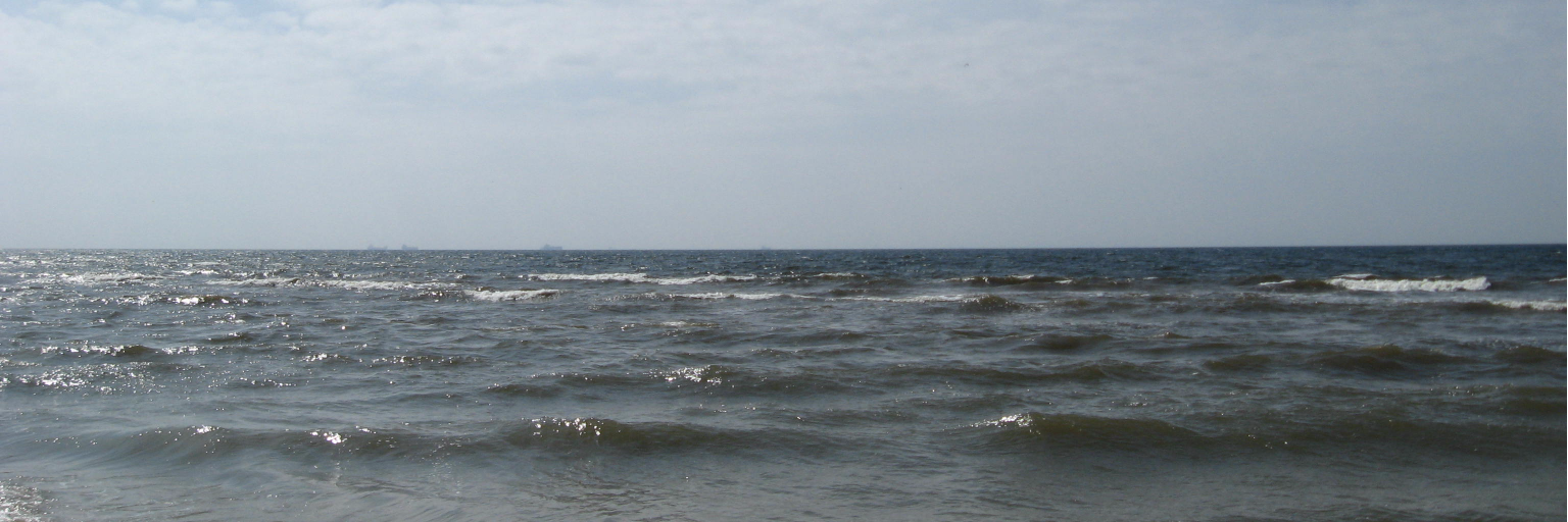 sibelius2002's profile banner image
