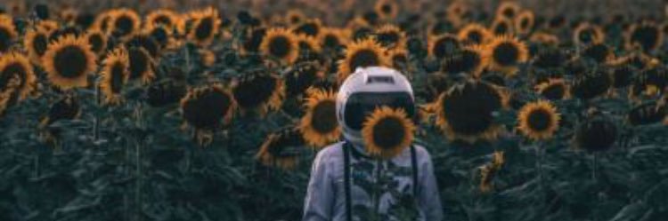 giina_rose's profile banner image