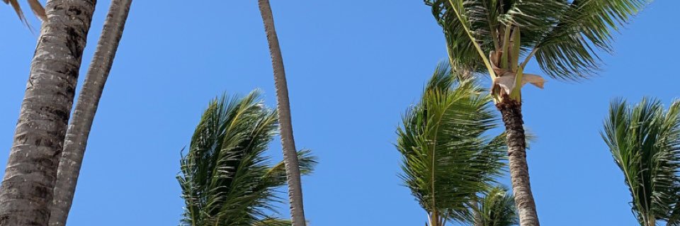 Corbett_Jaiden's profile banner image
