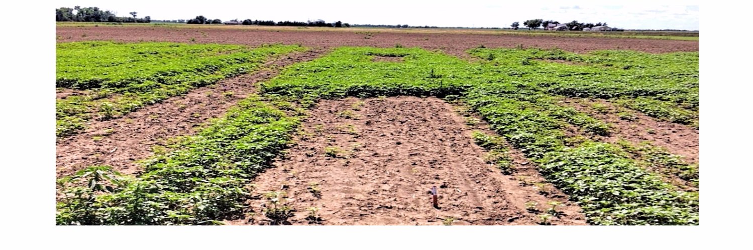 precisionweeds's profile banner image