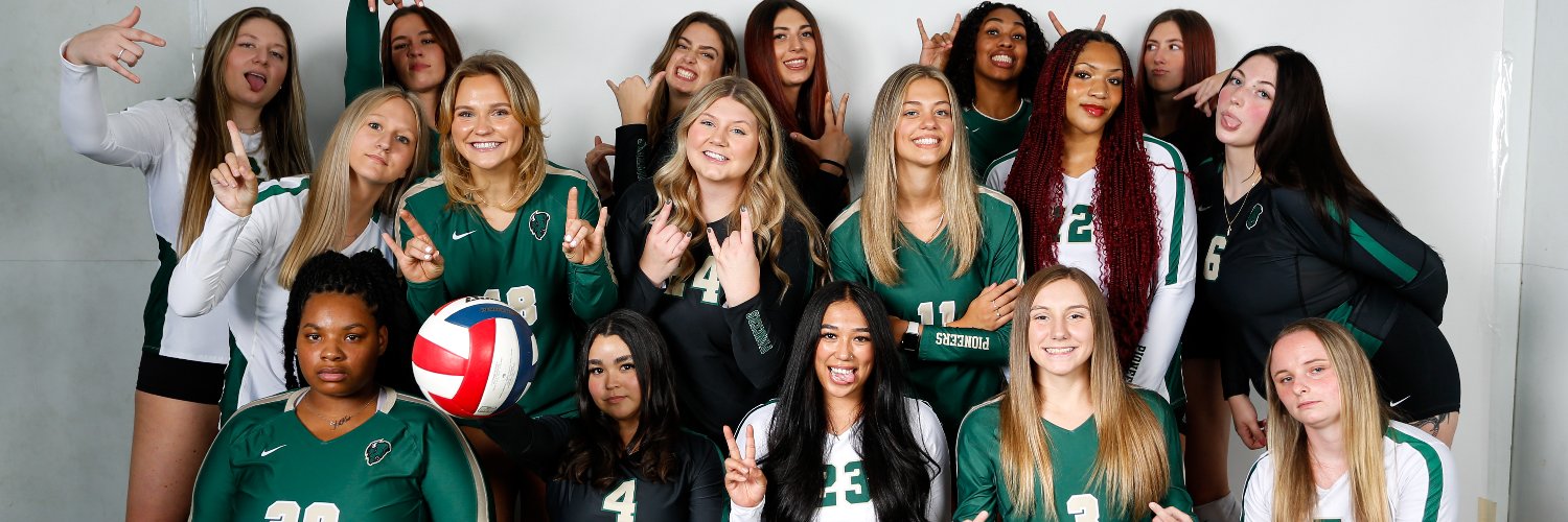 Point Park Volleyball banner