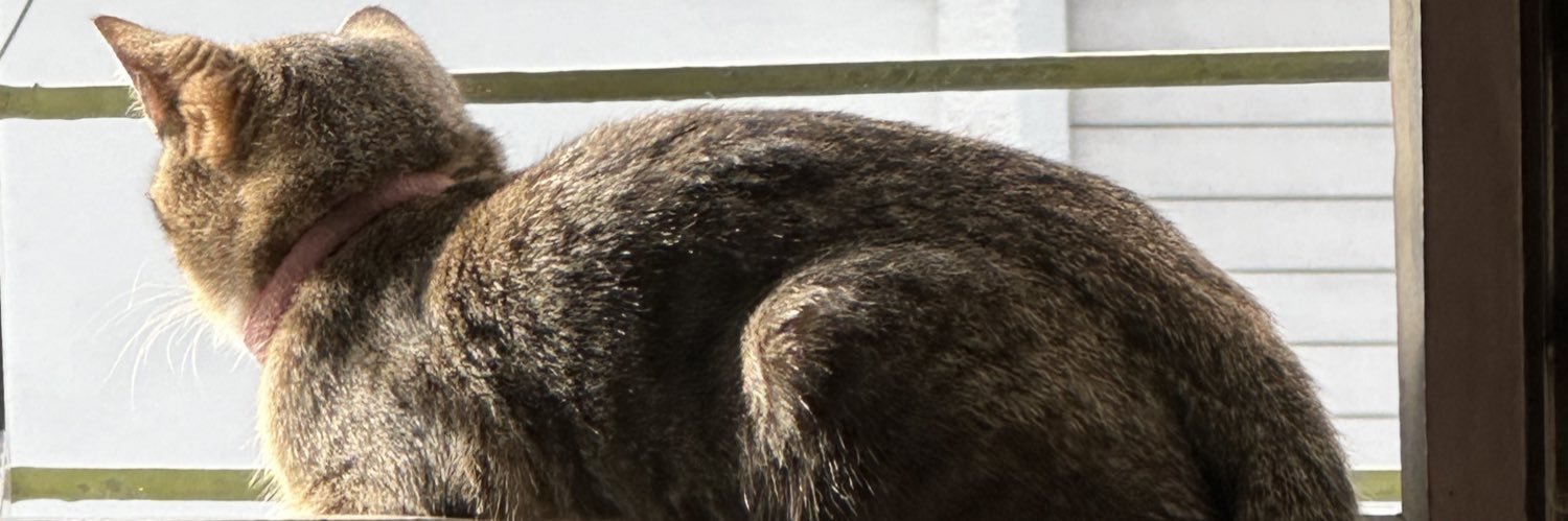 rodmolcru's profile banner image