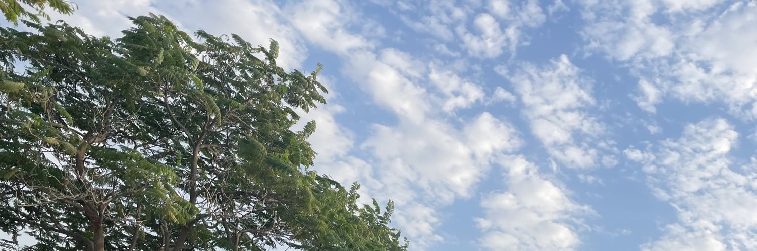 abibars's profile banner image