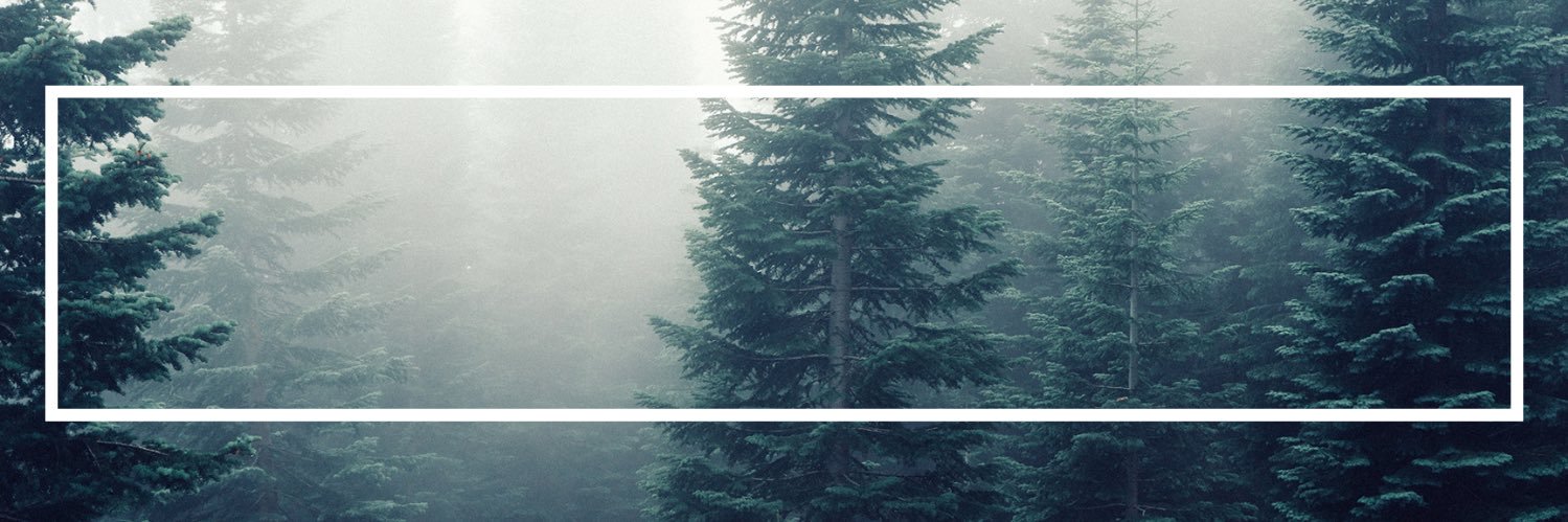 quinnrear's profile banner image