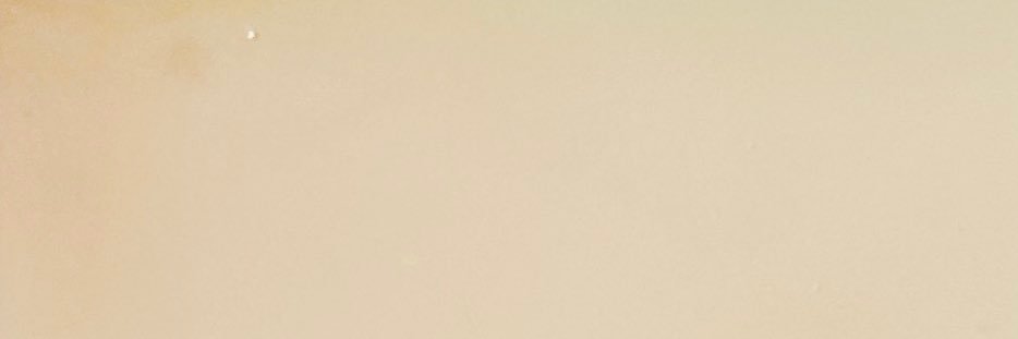 Zealbreak banner