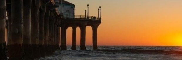 Steve Bridges banner